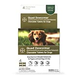 Bayer Chewable Quad Dewormer for Small Dogs, 2-25 lbs, 4 Chewable Tablets
