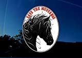 Horse Decal Mustang Horse America's Wild Horses Vinyl Car Wndow Sticker Decal - Each Sticker Helps The Wild Mustangs!