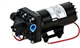 Shurflo 5059-1310-D011 5.3 GPM Automatic Demand 12VDC Diaphragm Pump with 60 PSI Built-In Pressure Switch, Viton valves, Self-Priming & 1/2" NPTF Port