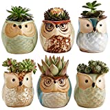 SUN-E SE Owl Pot Ceramic Flowing Glaze Base Serial Set Succulent Plant Pot Cactus Plant Pot Flower Pot Container Planter with Drainage Hole Home Office Desk Garden Gift Idea 6pcs 2.5 Inch