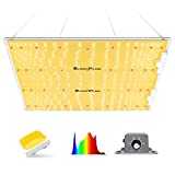 Bloom Plus Latest XP3000 LED Grow Light with Samsung LM301H Diodes 4x4 ft Coverage Dimmable Full Spectrum 300W Grow Light for Indoor Plants Veg and Bloom Hydroponic Growing Lamps with 652pcs LEDs