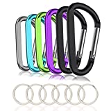 6PCS Carabiner Caribeaner Clip,3" Large Aluminum D Ring Shape Carabeaner Keychain Hook