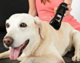 B-cure Laser Vet Device for Pets: A Home Laser Therapy, Accelerates Healing and Reduces Pain and Inflammation in Dogs, Cats, Horses and Other Animals