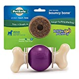 PetSafe Busy Buddy Bouncy Bone - Treat-Holding Toys for Dogs - Scented for Enhanced Sensory Stimulation - Rigorously Tested Ingredients - For Aggressive Chewers - Treat Rings Included - Purple, Medium