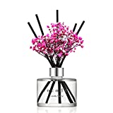 Cocodor Preserved Real Flower Reed Diffuser / Lovely Peony / 6.7oz(200ml) / 1 Pack / Reed Diffuser Set, Oil Diffuser & Reed Diffuser Sticks, Home Decor & Office Decor, Fragrance and Gifts