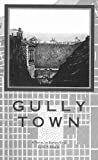 Gully Town