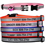 GoTags Personalized Reflective Cat Collars, Engraved Custom Cat Collar with Name and Phone, Breakaway Cat Collar with Safety Release Buckle and Bell, Adjustable for Cats and Kitten, (Pink)