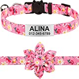 TagME Cat Collars for Girl Cats, Cat Collar Personalized with Bell Breakaway,20+ Patterns Kitten Collar with Flower Accessory, Hot Pink Flower, 1 Pack