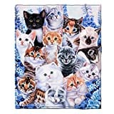 Super Soft Full/Queen Size Plush Fleece Blanket by Jenny Newland, 75" x 90" (Kitten Collage)