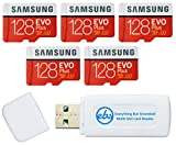 Samsung 128GB Evo Plus MicroSD Card (5 Pack EVO+) Class 10 SDXC Memory Card with Adapter (MB-MC128HA) Bundle with (1) Everything But Stromboli Micro & SD Card Reader