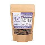 HolistaPet Hemp Dog Treats - Heart & Immune Care - 30 Crunchy Treats - 600mg - Made in USA - Powerful Relief with Hemp Oil Blueberries & Flaxseed - Supports Healthy Immune Response