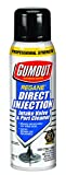 Gumout 540023 Regan Direct Injection Intake Valve and Port Cleaner, 11 fl. oz, 1 Pack