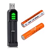 Pickle Power AAAA Batteries,2pcs 500mAh Ni-MH AAAA Rechargeable Battery for Surface Pen and USB Charger for AA AAA AAAA Batteries