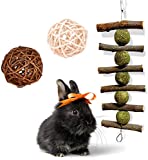 Rabbit Toys for Teeth, Handmade 100% Natural Organic Apple Sticks and Play Balls Bunny Chew Toys Pet Cage Accessories for Rabbits Guinea Pigs Chinchilla Bunny Degus Small Animals