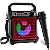 Risebass Portable Bluetooth Speaker with Microphone Set - Home Karaoke Machine and PA System for Kids and Adults with Party Lights - Rechargeable USB Speaker Set with FM Radio, SD/TF Card and AUX