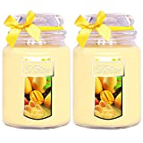 Decorlife 22 oz Scented Candles, Large Mango Peach Salsa Candle Jars with 2 Wicks, Strong Smelling and 110 Hours Long Lasting Time, 2-Pack