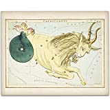 Capricorn Zodiac Antique Constellation Art Print - 11x14 Unframed Art Print - Great Home Decor or Gift Under $15 to Astrology Enthusiasts
