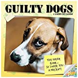Guilty Dog Calendar 2022 -- Deluxe 2022 Funny Dog Wall Calendar Bundle with Over 100 Calendar Stickers (Dog Lovers Gifts, Office Supplies)…
