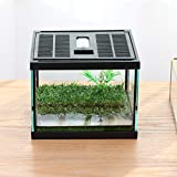 crapelles Pac Frogs Glass Terrarium Feeding kit Tank, Waterproof,for Small Amphibians, Insect, Horned Frogs. Waterweed / Prairie Style Habitat,with Green Artificial Turf Pad, (excluding Animals)