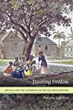 Troubling Freedom: Antigua and the Aftermath of British Emancipation