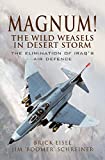 Magnum! The Wild Weasels in Desert Storm: The Elimination of Iraq's Air Defence