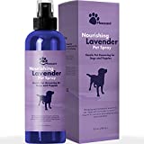 Lavender Oil Dog Deodorizing Spray - Dog Spray for Smelly Dogs and Puppies and Dog Calming Spray with Lavender Essential Oil - Lightly Scented Dog Deodorizer for Smelly Dogs and Dog Essentials