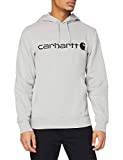 Carhartt Men's Force Delmont Signature Graphic Hooded Sweatshirt, Asphalt Heather, Large
