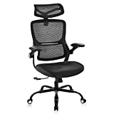 Ergonomic Office Chair, High Back Mesh Desk Chair with Lumbar Support and Tilt Function Adjustable Headrest and Flip-up Armrest Swivel Computer Task Chair (Black)