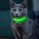 Vizpet LED Cat Dog Collar USB Rechargeable & XS Adjustable Size Nylon Collar Bright Safety Pet Collar for Small Cats & Dogs (Green)