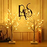 BHCLIGHT Lighted Birch Tree, Set of 2 Each 2FT 24 LED Battery Operated with Timer Tabletop Fairy Tree Lights, White Artificial Branch for Christmas Decorations,Thanksgiving, Wedding, Warm White