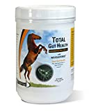 Ramard Total Gut Health for Horse - Digestive Aids Relief - Support Intestinal Health & Immune Function - Horses Maintenance Formula for Normal Digestion - Natural Horse Supplements - 30 Day Supply