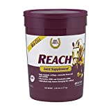 Horse Health Reach Joint Supplement for Horses, 2.815 lbs, 45 Day Supply