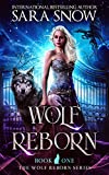 Wolf Reborn: Book 1 of the Wolf Reborn Series (A New Adult Paranormal shifter romance story)