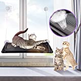 NC Cat Window Hammock Perch Cat Hammock Window Seat All Around 360° Sunbath Space Saving Window Mounted Cat Bed for Any Cats Premium Set Holds Up to 55lbs