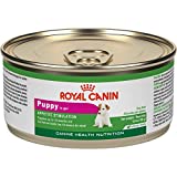 Royal Canin Canine Health Nutrition Puppy In Gel Canned Dog Food, 5.8 ounce Can (Pack of 24)