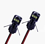 Oznium Side View LED Bolt - 12V LED Side Emitting Light for Bumper, Grille, Cars Interior, Dash, Ambient Lighting, Motorcycle with Aluminum Housing & Screw Nut (11 mm Black, Cool White LED), 2-Pack