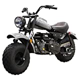 Massimo Motor Warrior200 196CC Engine Super Size Mini Moto Trail Bike MX Street for Kids and Adults Wide Tires Motorcycle Powersport CARB Approved (Gray)