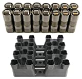 OverstockDirect Genuine OEM LS7 LS2 16 GM Performance Hydraulic Roller Lifters & 4 Guides 12499225 HL124 12595365