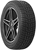 Nexen Roadian HP All- Season Radial Tire-305/35R24 112V