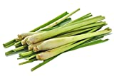 6 Fresh Lemon Grass