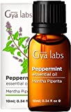 Gya Labs Pure Peppermint Oil for Hair Growth (10ml) - 100% Therapeutic Mint Essential Oils - Premium Grade Natural Peppermint Essential Oil for Diffuser, Skin & Hair