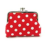 Cute Floral Buckle Coin Purses Vintage Pouch Kiss-lock Change Purse Wallets