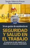 SÉ UN GESTOR DE EXCELENCIA EN SEGURIDAD Y SALUD EN EL TRABAJO: 10 soluciones de alto impacto en el desarrollo de empresas sustentables (Spanish Edition)