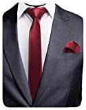GUSLESON 2.4" Slim Necktie and Handkerchief Set For Men Solid Skinny Tie (0754-11)