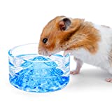 Niteangel Hamster Feeding & Water Bowls - Small Animal Glass Drinking Bowls for Dwarf Syrian Hamsters Gerbils Mice Rats or Other Similar-Sized Small Pets (Light Blue)