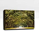Spanish Moss Road - Ready Made 3'x2'x2" Acoustic Art Panel : Includes all Mounting Hardware.