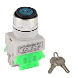 220V 3 Position Key Lock Rotary Switch 22mm Mount Key Operated Switch with 2 Keys LAY37-20Y/31