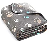 Allisandro 350 GSM-Super Soft and Premium Fuzzy Flannel Fleece Pet Dog Blanket, The Cute Print Design Washable Fluffy Blanket for Puppy Cat Kitten Indoor or Outdoor, Grey, 39" x 31"