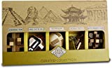 Project Genius True Genius CURATED Collection  Variety Pack, Assembly Puzzle, Disassembly Puzzle, Brain teasers, Adult Puzzle, Wooden and Metal Brain Teasers