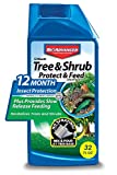 BioAdvanced 701810A Systemic Plant Fertilizer and Insecticide with Imidacloprid 12 Month Tree & Shrub Protect & Feed, 32 oz, Concentrate